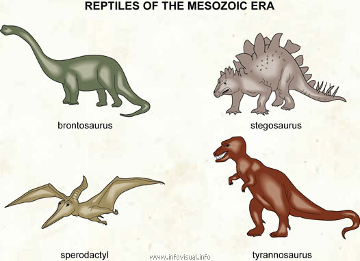 Mesozoic  (Visual Dictionary)